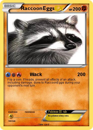 Pokemon RaccoonEggs