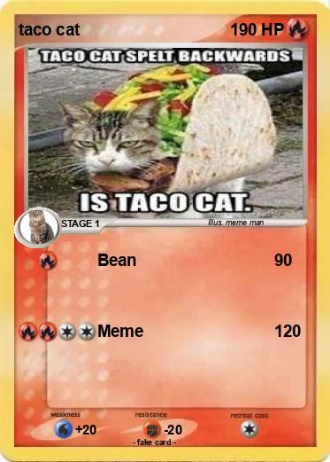 Pokemon taco cat
