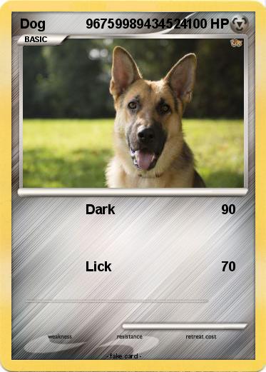 Pokemon Dog           96759989434524