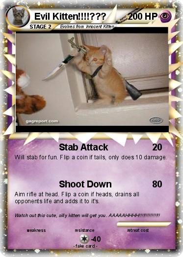 Pokemon Evil Kitten!!!!???