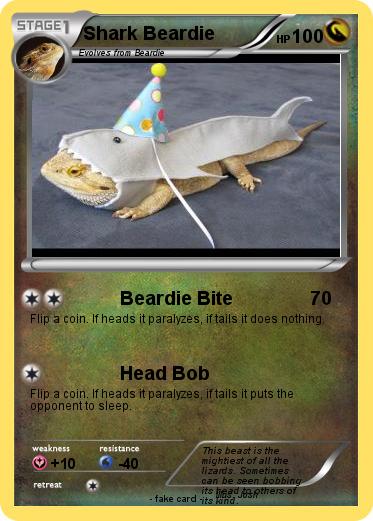 Pokemon Shark Beardie