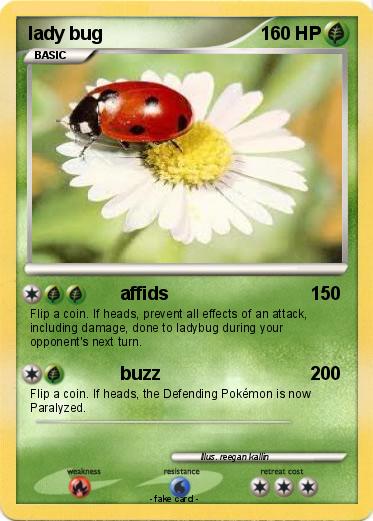 Pokemon lady bug