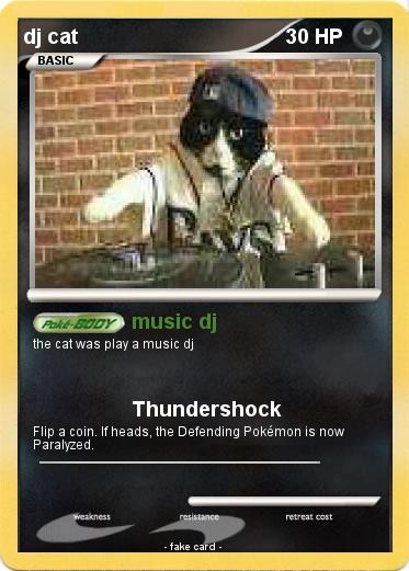 Pokemon dj cat