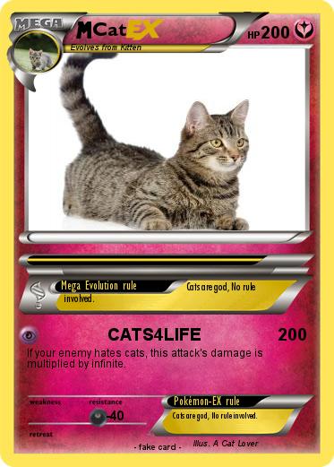 Pokemon Cat