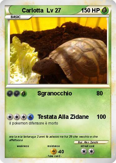 Pokemon Carlotta  Lv 27