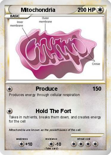Pokemon Mitochondria