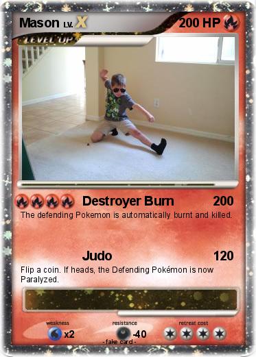 Pokemon Mason