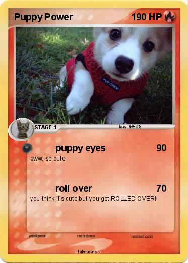 Pokemon Puppy Power