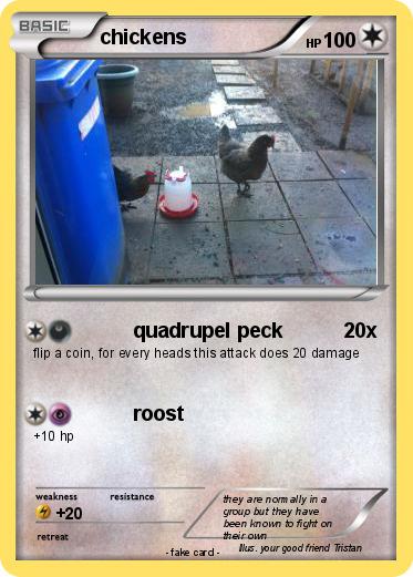 Pokemon chickens