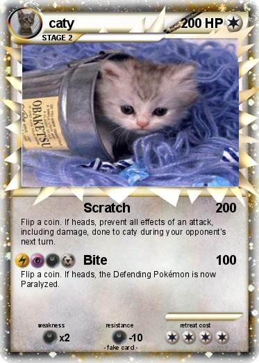 Pokemon caty