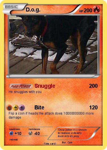 Pokemon D.o.g.