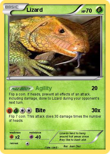 Pokemon Lizard