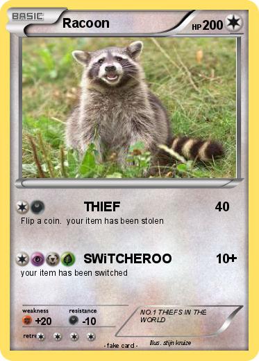 Pokemon Racoon