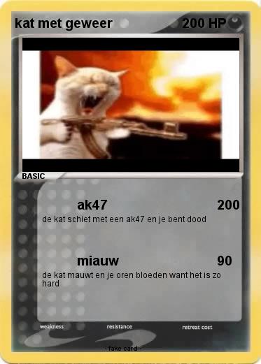 Pokemon kat met geweer
