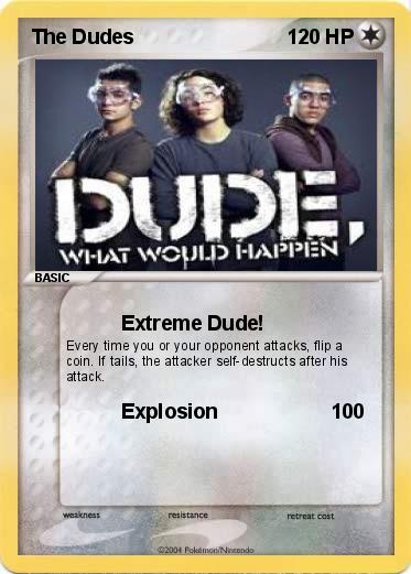 Pokemon The Dudes