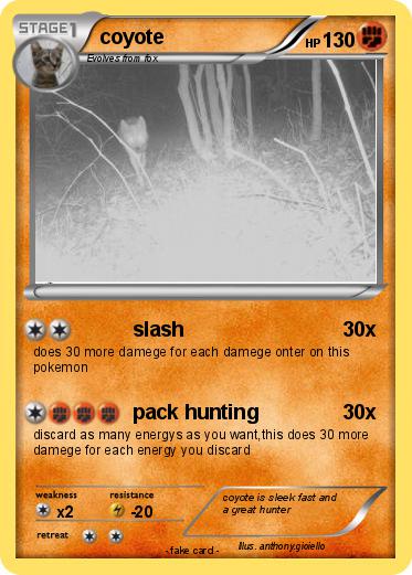 Pokemon coyote