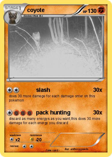 Pokemon coyote