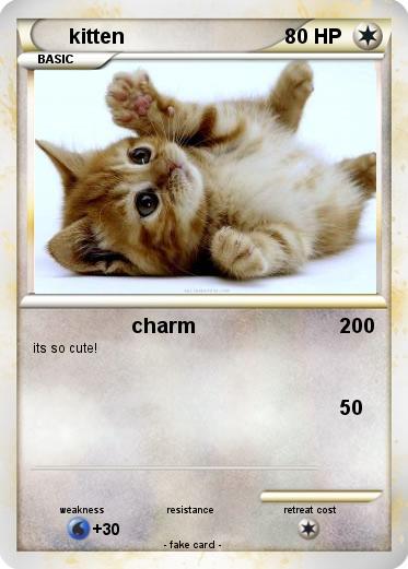 Pokemon kitten