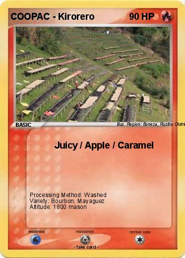 Pokemon COOPAC - Kirorero