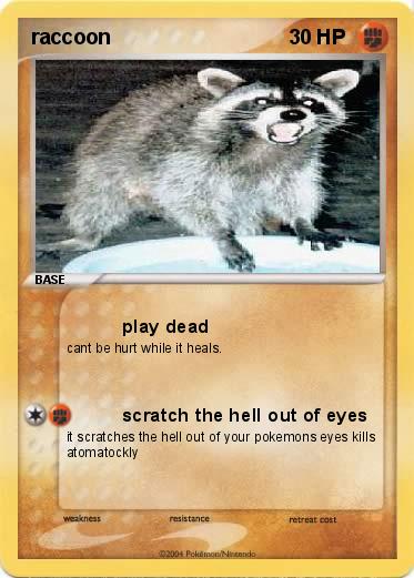 Pokemon raccoon