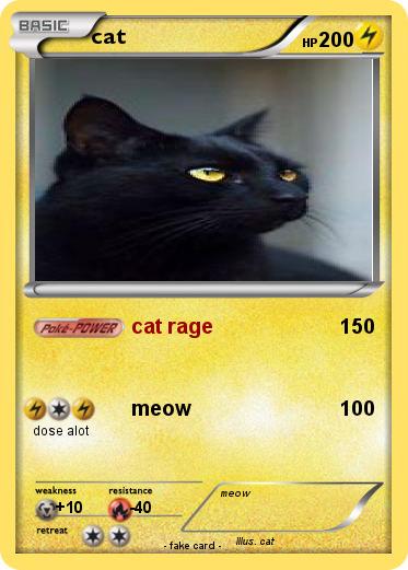 Pokemon cat