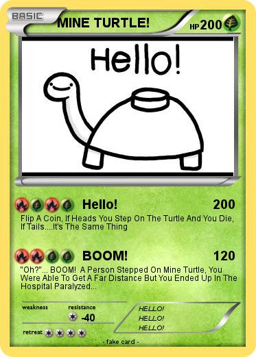 Pokemon MINE TURTLE!