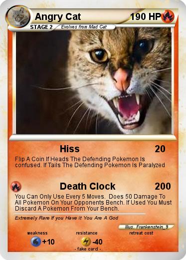 Pokemon Angry Cat