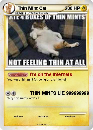 Pokemon Thin Mint Cat