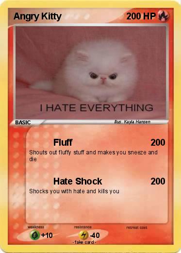 Pokemon Angry Kitty