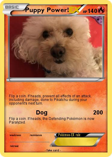 Pokemon Puppy Power! Pokemon Puppy Power!
