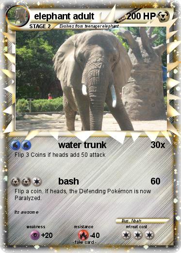 Pokemon elephant adult