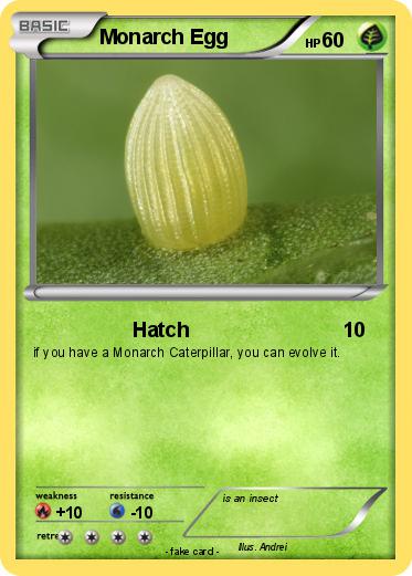 Pokemon Monarch Egg