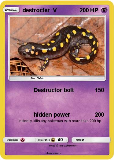 Pokemon destrocter  V