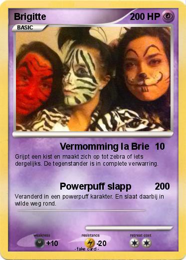Pokemon Brigitte