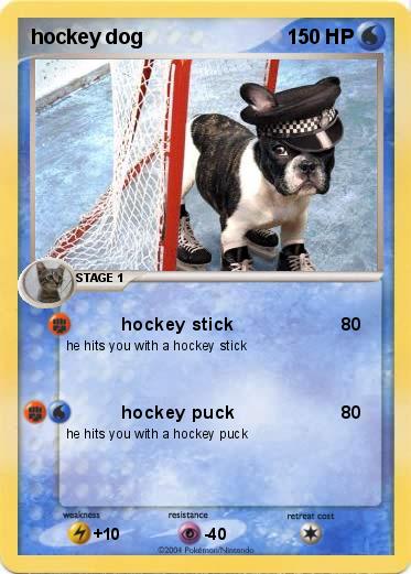 Pokemon hockey dog