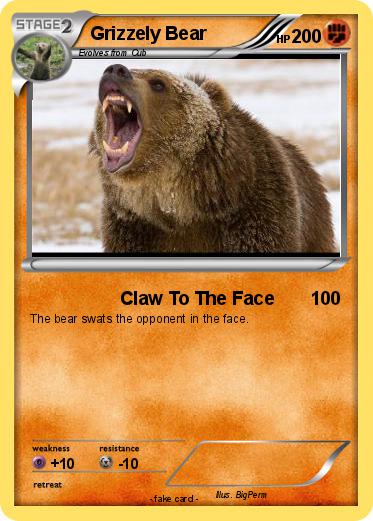 Pokemon Grizzely Bear