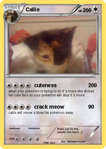 Pokemon Callie
