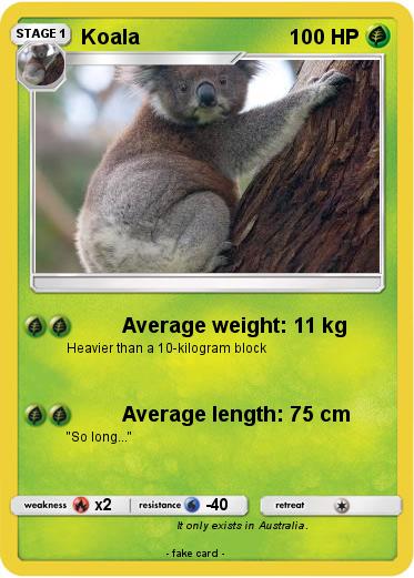 Pokemon Koala