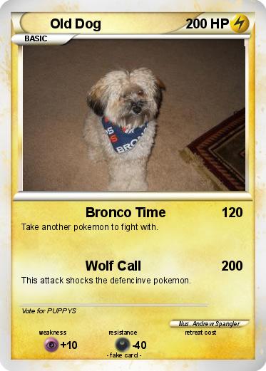 Pokemon Old Dog