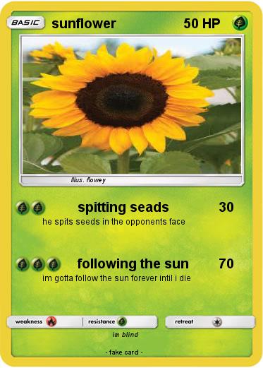 Pokemon sunflower