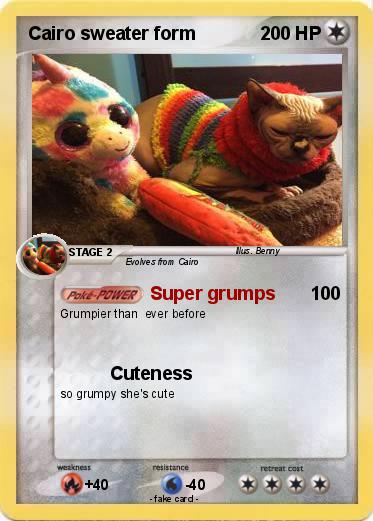 Pokemon Cairo sweater form