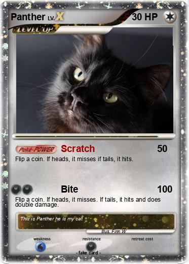 Pokemon Panther