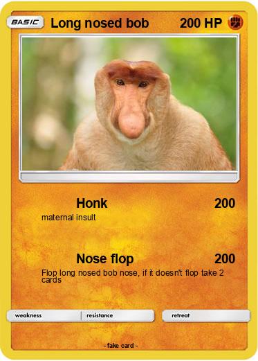 Pokemon Long nosed bob