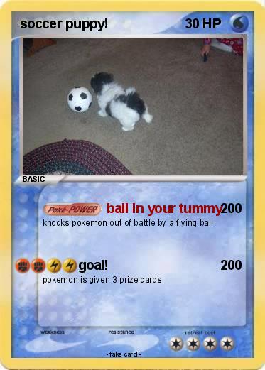 Pokemon soccer puppy!