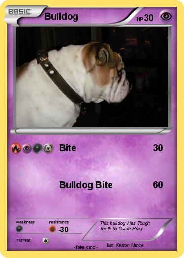 Pokemon Bulldog