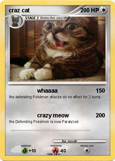 Pokemon craz cat