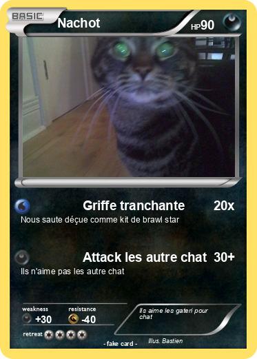 Pokemon Nachot