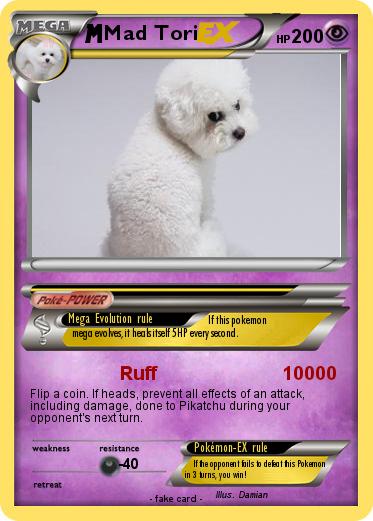 Pokemon Mad Tori
