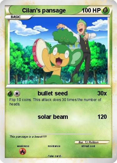 Pokemon Cilan's pansage
