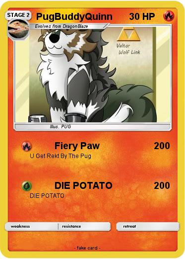 Pokemon PugBuddyQuinn